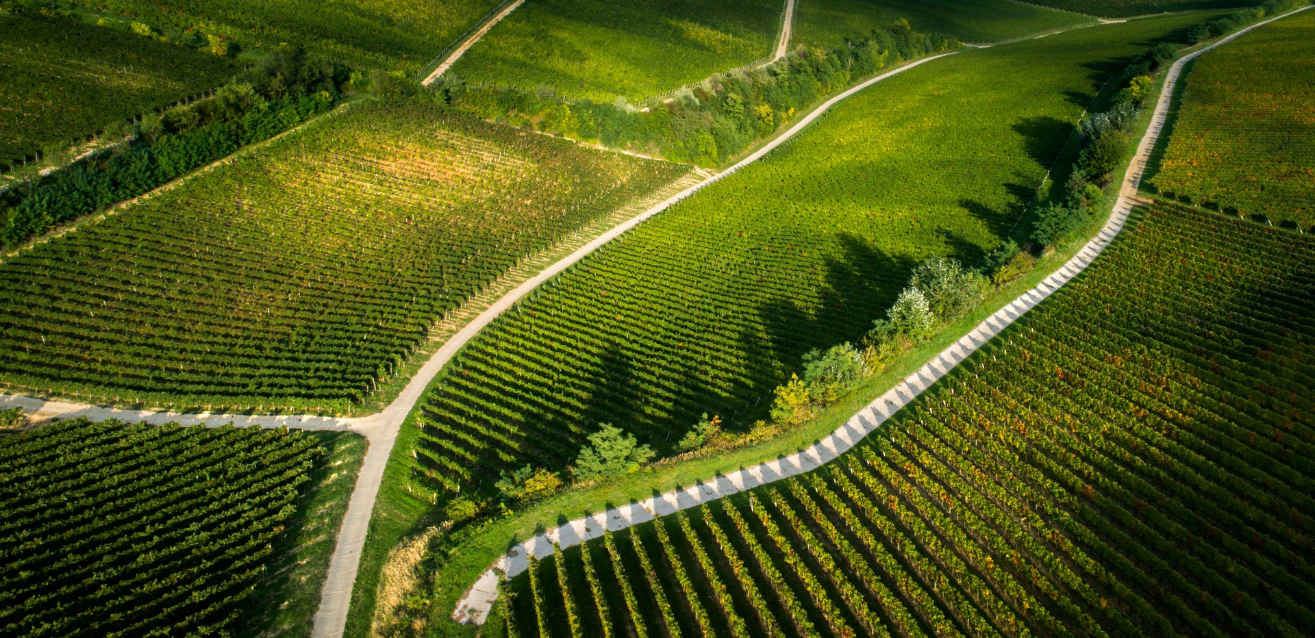 A rádpusztai konferencia tanulsága: így fejlődhet a Dél-Dunántúl 2030-ig