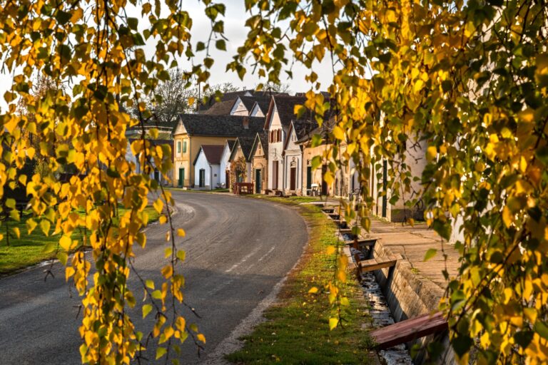 Villány új ipari dimenziója – Stratégiai iparterület a borvidék és az autópálya találkozásánál